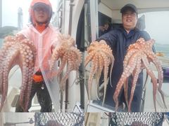 문어,1500,1300,1200,1100외,충치,와르르,,(예약가능)
