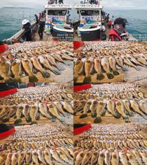  ♥붉바리들..이정도는 잡아봐야지요  대박 붉바리조황입니다[2026년08월17일] ◎ 해마루호가 뜨는이유? 조황때문이죠 ◎ 핵심포인트: 바로진입.. 바로히트.. ▣ 차원이 다른 조황으로 모십니다 ▣ 요즘 붉바리낚시가 대세입니다 사진