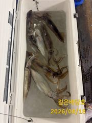[제주 깊은바당호] 8월 17일 갈치 조황입니다 사진