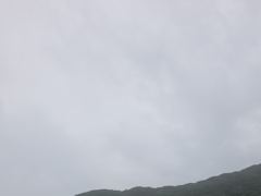 연일 6짜,5짜참돔들 떼고기~!!! 떼거리 파티!!! 이런날이 다 있나요?? (수요일 내일 예약가능)초초초대박 조황~!! 사진