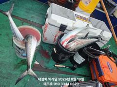 8/18(화) 테크호 - 오전 대삼치 폭발 - (오후, 수,목,금~모집) 사진