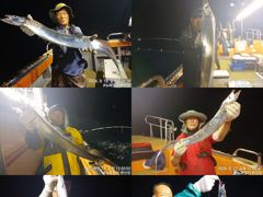 (뉴~패밀리호) 백도권 씨알 좋은 갈치 조황입니다. 사진
