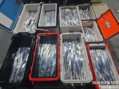 18일새벽,내만칼치 빗속에도 퍽퍽 루어1타1피~수,목,금욜 예약가능~