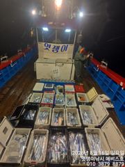 준내만갈치~빵좋은 대치들까지 쿨러 채우고~수요일부터 예약가능합니다 사진