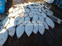 8/18, 생미끼~쏟아지는 대광어`내일도 갑니다~대광어 싸이즈 굿굿~대박조황~농어,얼음돔,개우럭등도 굿굿~ "생미끼-민어,농어,광어~8월 평일, 선비 빅이벤트(선비8만)"~~ 군산 범고래호 사진