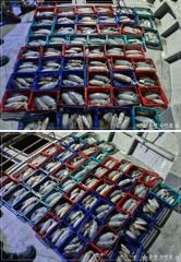 1
					
				
																[고성] 무늬 팁런 이벤트~									1 사진