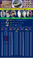 ♥붉바리들..이정도는 잡아봐야지요 대박 붉바리조황입니다 [2026년08월18일] ◎ 해마루호가 뜨는이유? 조황때문이죠 ◎ 핵심포인트: 바로진입.. 바로히트.. ▣ 차원이 다른 조황으로 모십니다 ▣ 요즘 붉바리낚시가 대세입니다 사진