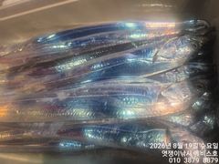 준내만갈치~역시 돼지대치들까지 쿨러 채우고~오늘부터 예약가능합니다 사진