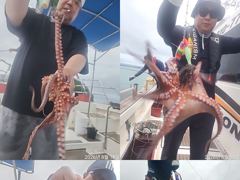 [진해] 문어,20수에서.8수까지,처음부터,끝까지 왕창,,(예약가능)