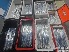 [진해] 내만칼치 퍽퍽,텐빈,루어1타1피~엄청잡고 수,목,금,토욜 예약가…