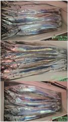 3-6지까지 쿨러 가득 채웠읍니다 사진