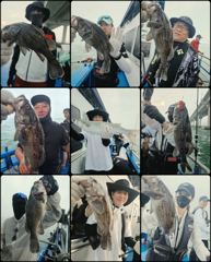 조황사진 - ♡다잡아♡(체험) 8월 19일 조황~!^^ - 인천제일바다낚시 | 인천배낚시, 인천쭈꾸미낚시
