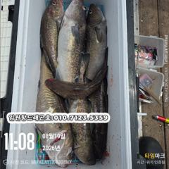 임원항드래곤호 왕대구 조황입니다  사진