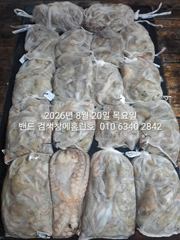 8월19일 굿조황 ...군산 홈런호 야간 문어 마무리 조황 입니…