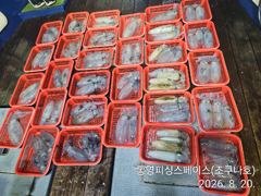 무늬/팁런,,피딩이요,,오늘3자리 가능,, 사진