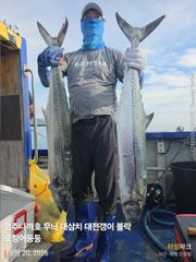 실시간 헤비급 대삼치들의 라이징 쇼 사진