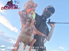 19일(야간문어) 목.금.토.쭉욱 예약가능 마릿수 덩치들 쫀쫀 퍽퍽 사진