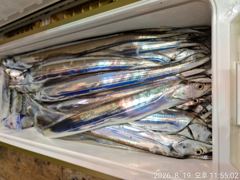 8월20일입항 먼바다대갈치 조항소식 입니다  사진
