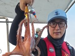 [진해] 칠성호 돌문어 조황입니다 ~~