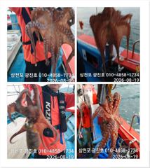 [광진호]문어{선비,5만,토,일}자리여유 예약중~