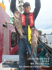 군산하이원호 8월 20일 5짜4짜등 쓰리걸이 쌍걸이 조황입니다.