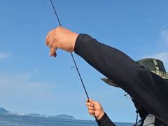다대포권 뉴아차호 무늬오징어 팁런 진행중 사진