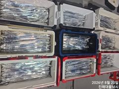 20일새벽,내만칼치 텐빈,루어 씨알점점 엄청나게 잡고~,금,토욜 예약가능~ 사진