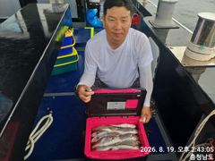 오늘의조황 - 8월19일 백조기낚시^^ - 오천항 성령낚시,성령호 사진