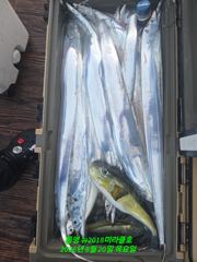 갈치~루어게임 텐빈!3~4지 뽑기