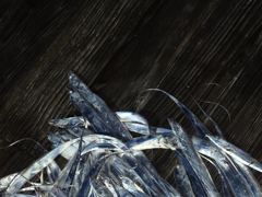 갈치조황 - 목화피싱 817일 내만갈치 왠벌써 갈치사이즈 조황보시오 목포갈치 천국 바글바글이오 - 목포갈치낚시 사진