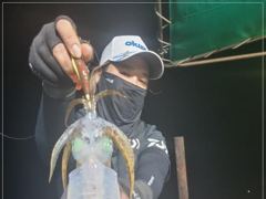 1
					
				
																[통영] 무늬 걸었다하면 고구마~									1 사진