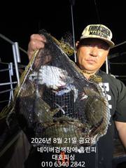 [군산] 8월20일 군산 홈런호 야간 문어 12명 조사님의 마무리 조황입…