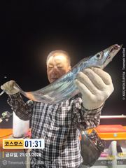 통영 갈치 터졌습니다  3지이상 만쿨 입니다 사진
