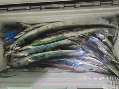 내일 텐빈텐야 달립니다 6분예약중 무조건 달립니다 10자리여유 있습니다  사진