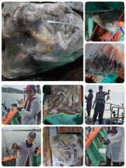 돌문어 실시간! 쿵쾅쾅! 토요일(오후반 새벽반)모집 사진