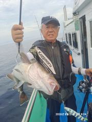 대구  사진