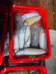[고성] 욕지권 무늬 팀런 다녀왔습니다