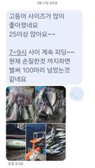 [마산] 마산 원전 선상낚시터 야간 조황 사진