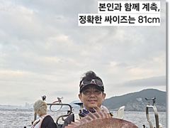 [부산] 진진-대물 참돔 81cm 외 5짜4짜3짜~~ 부시리 방어 퍽퍽퍽… 사진