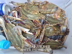 ★★ 8/22 [군산 대일피싱] 태평양호 꽃게 낚시 조황 ~! 내일 주간 자리 있습니다. 사진