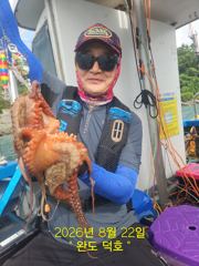 완도덕호 8.22 문어 사진
