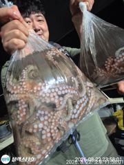 [사천] 골고루 손맛들 보시고 철수길 사진