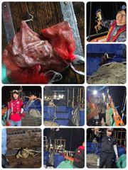 [포항] 실시간! 토2부 돌문어 쿵쾅중! 뉴대양호 사진