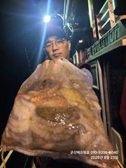 군산에프원호 22일 문어조황입니다 일요일 여유자리있습니다. 사진