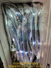 내만칼치ㅡ 바글바글. 쿨러빵빵 채우러갑니다 (예약가능) 사진