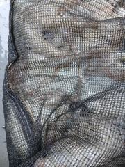 [여수,광양] 여수정원호)문어 조과 입니다!! 사진