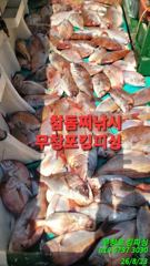 [서천,보령] 무창포_킹피싱_킹피쉬호_8월_23일_참돔_찌흘림_조황입니다. 사진