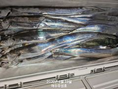 [여수,광양] 8월22일입항 대갈치 조항소식 입니다 사진
