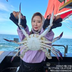 8월23일 홍원항 백두산호 꽃게 조황입니다.. 사진