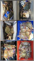 26.08.23 백사장항 무야호 다잡아 외수질 조황^^ 사진